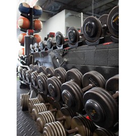 Grizzly Fitness Women's Ignite Weightlifting Exercise Gloves