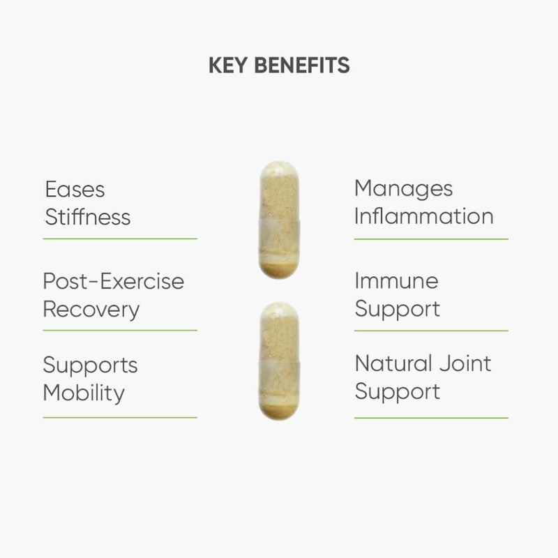 Nutri Advanced - CurcuDyn Forte - Curcumin, Boswellia and Ginger