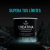 Creatina Monohidratada Micronizada en Polvo Valara | Alta Pureza Certificada
