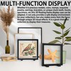 2 Set 7.1 Inch Megalodon Shark Tooth Display Case, 3D