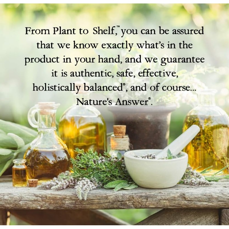 Natural's Answer Ginger Root Drops, 1000mg, Alcohol-Free, 30 ml