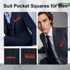 Gsyziux Paisley Pocket Squares for Men, Elegant Mens Handkerchiefs with