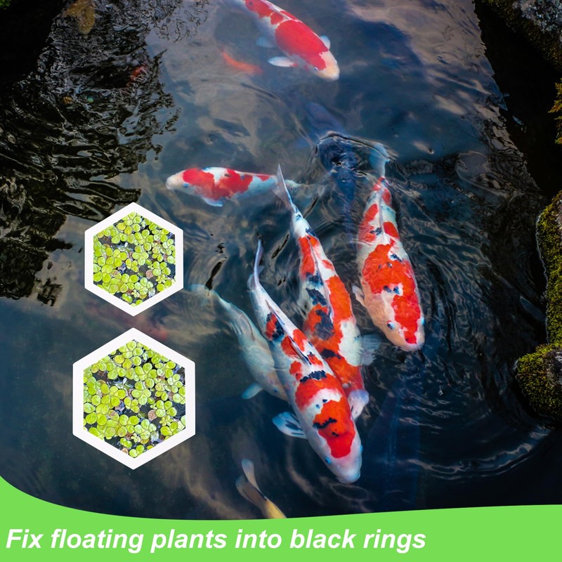 PEUTIER 5pcs Aquarium Floating Plant Corral, Foam Fish Feeding Rings