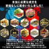 ハルクファクター シトルリン アルギニン 66000mg 2袋セット サプリ 亜鉛 マカ 厳選12種 240粒