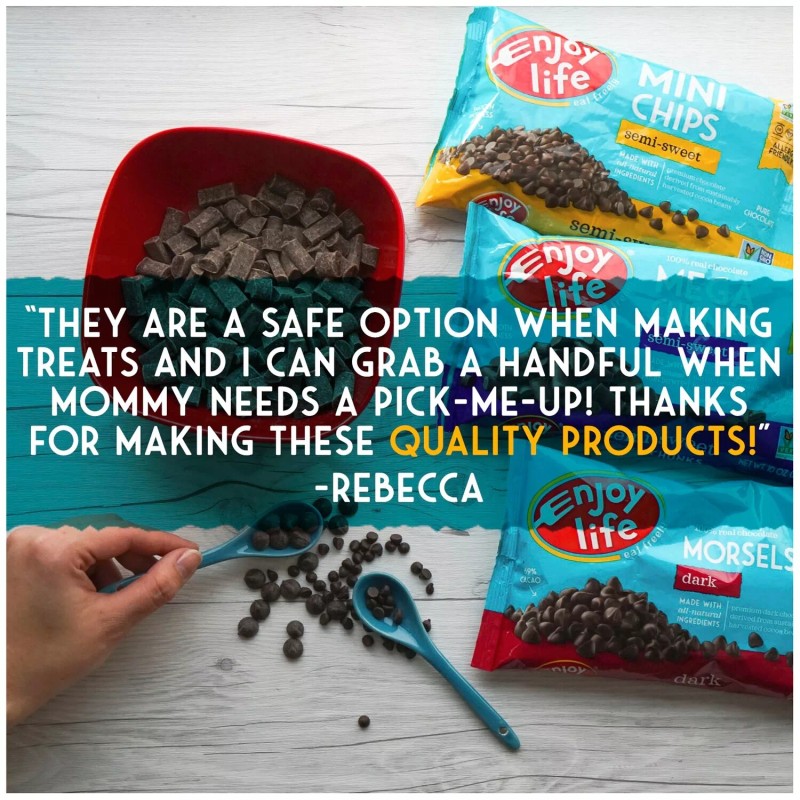 ENJOY LIFE FOODS GLUTEN FREE ALLERY FRIENDLY SEMISWEET MINI CHOC-CHIPS-PAC