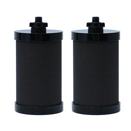 Larayci 2387 Pro Water Filters Replacement for Alexapure 2387 Pro Filter Replacement, Compatible with Alexapure Water Filtration System, 5,000 Gallon Throughput Capacity - Filter 2 Pack Black