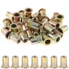 Rustark 100-Pcs 1/4"-20UNC Mixed Zinc Plated Carbon Steel Rivet Nuts