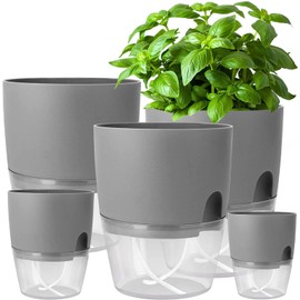 iDattel Flower Pot with Watering System, Herb Pot Kitchen Set, Windowsill, Self-Watering, Set of 5, Herb Garden for the Kitchen, 15.3/10.5/8.2 cm, for Fresh Kitchen Herbs, Grey