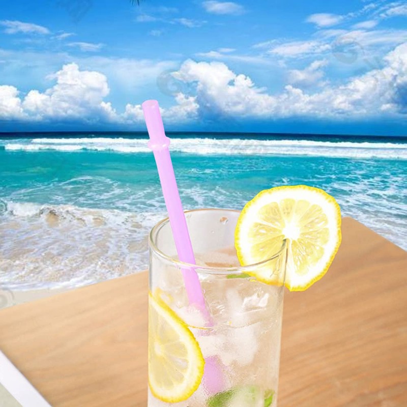 24Pcs Reusable Drinking Straw by WerkaSi, 10.6-inch 12Pcs Long Clear