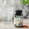 Black Seed Oil Capsules 1000mg - Premium Nigella Sativa Blackseed,