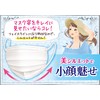 be-style Hakugen Earth B Style, Pleated Type, Cool Comfort, White,