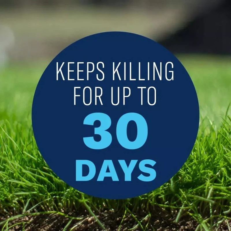 BioAdvanced Lawn Weed and Insect Killer 32 oz Concentrate