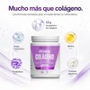 DR. WILL Colágeno Hidrolizado en Polvo 500 g, Péptidos de
