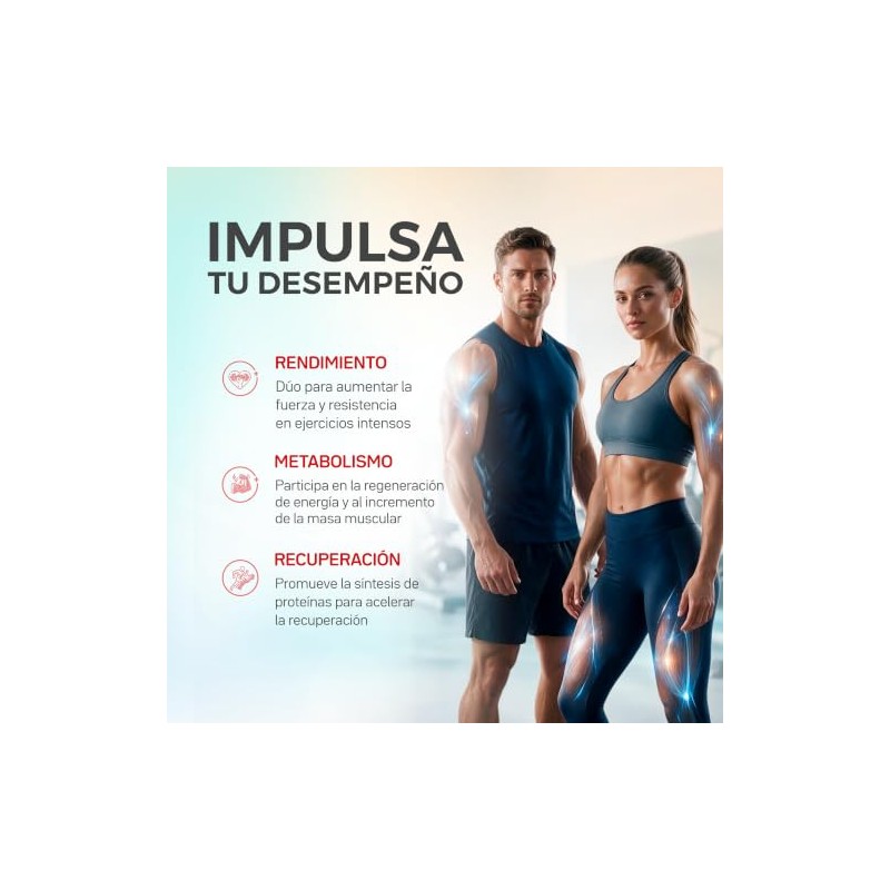 Primetech Nutrition Creatina Y Hmb 400gr En Polvo Sin Sabor