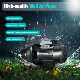 Shallow Well Jet Pump, 110V 550W Cast Iron Shallow Well Jet Pump 3/4 HP High Pressure Self-Priming Well Pump with Automatic Pressure Boosting System for Farm, Lawn, Garden