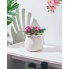 Fayoula Self Watering Plant Pot, 6 Inch African Violet Pots