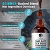 Shilajit 12-in-1 Complex-Sea Moss, Ashwagandha, Maca, Fulvic Acid,Trace Minerals