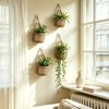 VMEECARL 4-Pack 5-Inch Macrame Wall Plant Hangers, Natural Cotton Hanging
