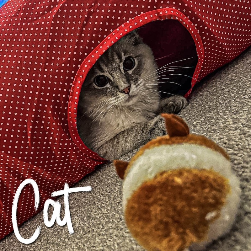 Ancol Red Polka Dot Cat Tunnel