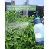 0.5 Gallon Garden Pump Sprayer, Hand Held Garden Sprayer, Water