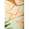 Wanderings Handmade Antique Deckle Edge Envelope 6" x 9" Pack