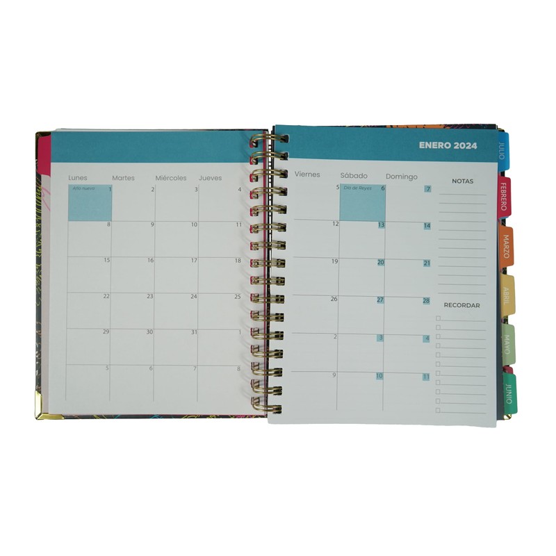 School Diary Page by Day | Ideal for Teachers and
