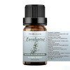 Sedbuwza Lavender Eucalyptus Essential Oil Set for Aromatherapy