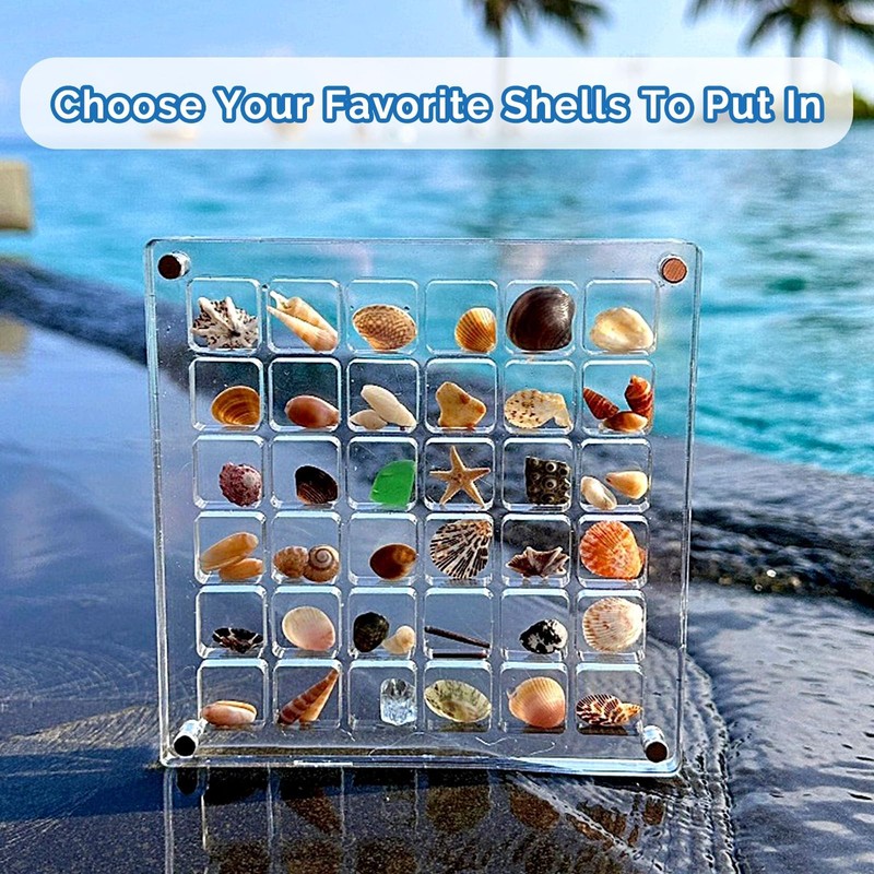 Vordpe 64 Compartments Acrylic Magnetic Seashell Display Box, Clear Shell