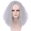 Boys Grey Fluffy Wigs Long Silver Gray Wavy Curly Wigs