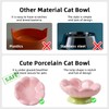 DIF DECO Ceramic Raised Cat Bowl, Pink Elevated Cat Food
