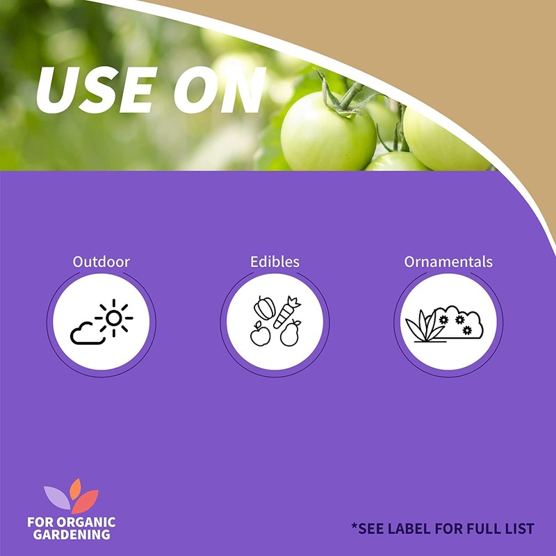 CAPT JACKS DUST 4 LB