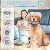 Elizabeth Collar for Dogs and Cats, Suitable for Medium and