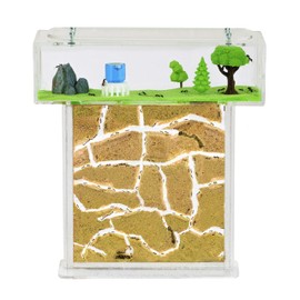 AntHouse Natural Sand Ant Farm Acrylic T Kit 15 x 15 x 1.5 cm (Free Ants)