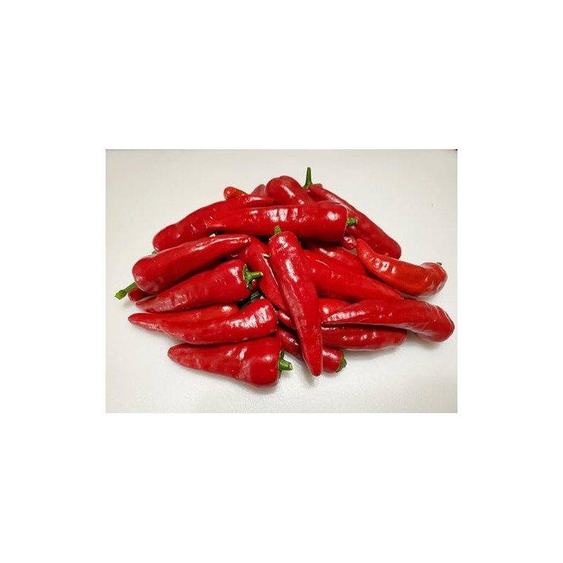 Chile De Agua Pepper Seeds 10+ Seeds