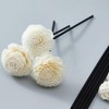 5pcs Rattan Dried Flowers Essential Oil Reed Diffuser Rose Flower
