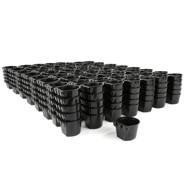 The ROP Shop 300-Pack - Black Cage Cups for Chicken,