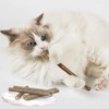 LISSION Cat Chew Sticks, Silvervine Sticks for Cats 25 PCS,