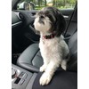 Car Console Covers Plus Made in USA Designed for Mazda