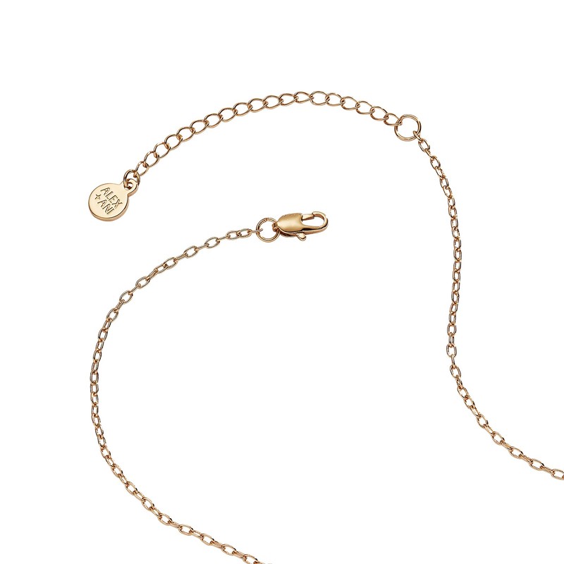 Alex and Ani Self-Love Club Pendant Necklace