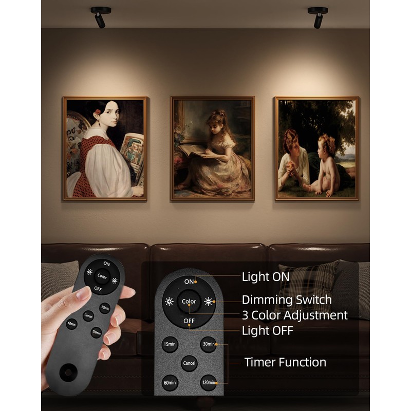 EZVALO Spotlights Indoor with Remote, 5500mAh Rechargeable Picture Lights, Wireless