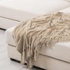 EVERGRACE Soft Chenille Throw Blanket for Couch, Cozy Plush Fuzzy