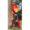 Ebros Tropical Rainforest Red Scarlet Macaw Parrot Perching On Branch