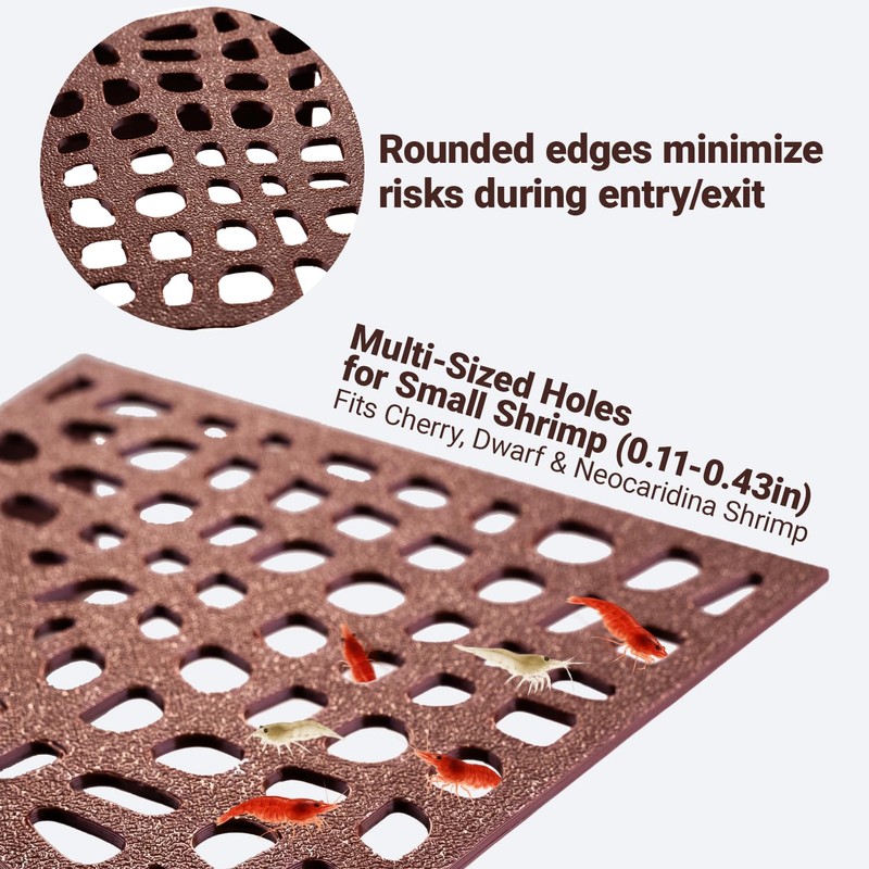 HERPDEN Shrimp Tank Accessories – 2Pcs Fish Tank Decoration, 180°