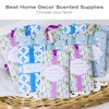 SCENTORINI Scented Sachet, Linen Fragrance Sachets for Drawers, Closets, wardrobe,