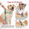 Harness Lead No Pull Dog Harness and Leash Set, Anti