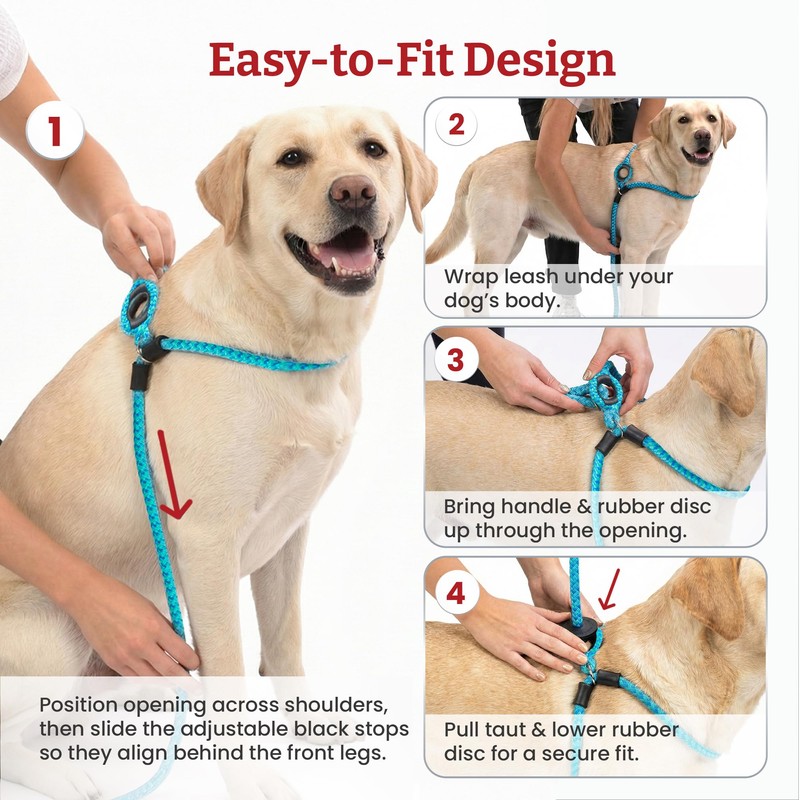 Harness Lead No Pull Dog Harness and Leash Set, Anti