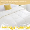 Luxury Soft Comforter Queen Size for All Seasons, Premium Down