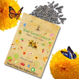 Teddy Bear Sunflower Seeds to Plant - Dwarf Sun Flowers - for Planting and Growing Flowers in a Garden Outdoors - or Indoors in Containers or Pots - 100 Count Packet of Non GMO Heirloom Seeds