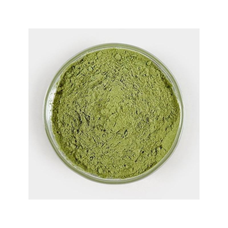 Oherb 국내산 케일 분말 가루 파우더 250g 케일 그린 스무디