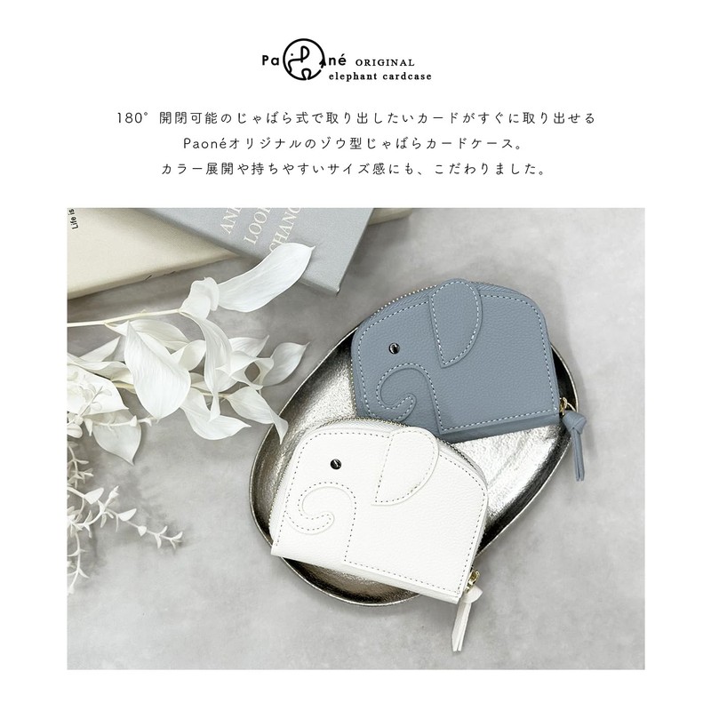 Giselle Women's Credit Card Case, Card Slots, Card Case, Mini